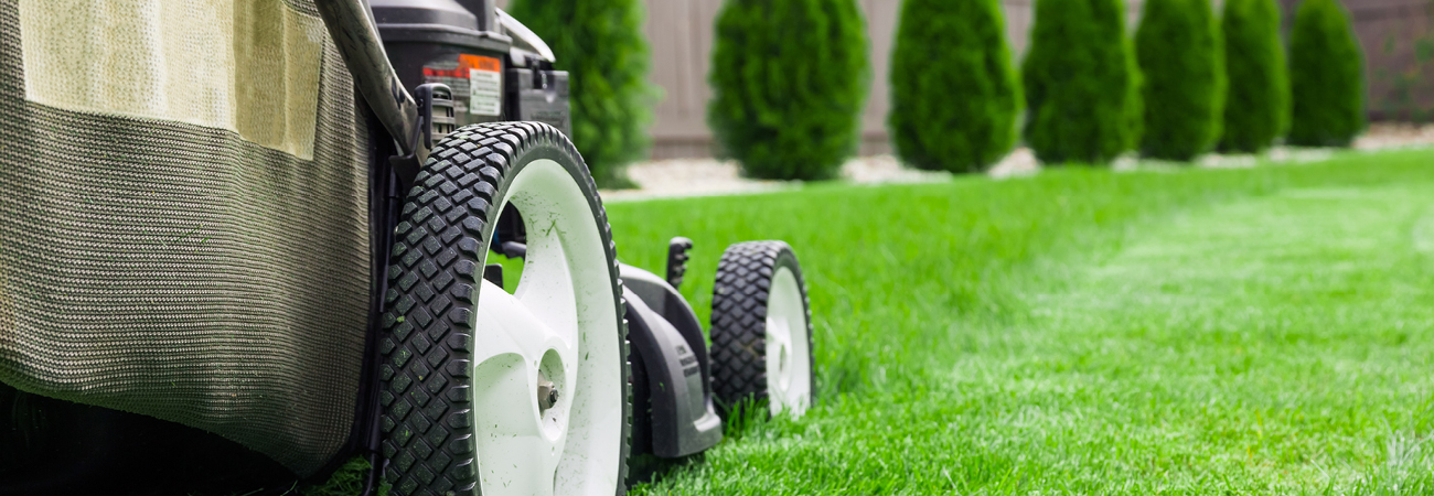 Fall Checklist Just For Your Lawn - Cotton's Ace Hardware Store Header