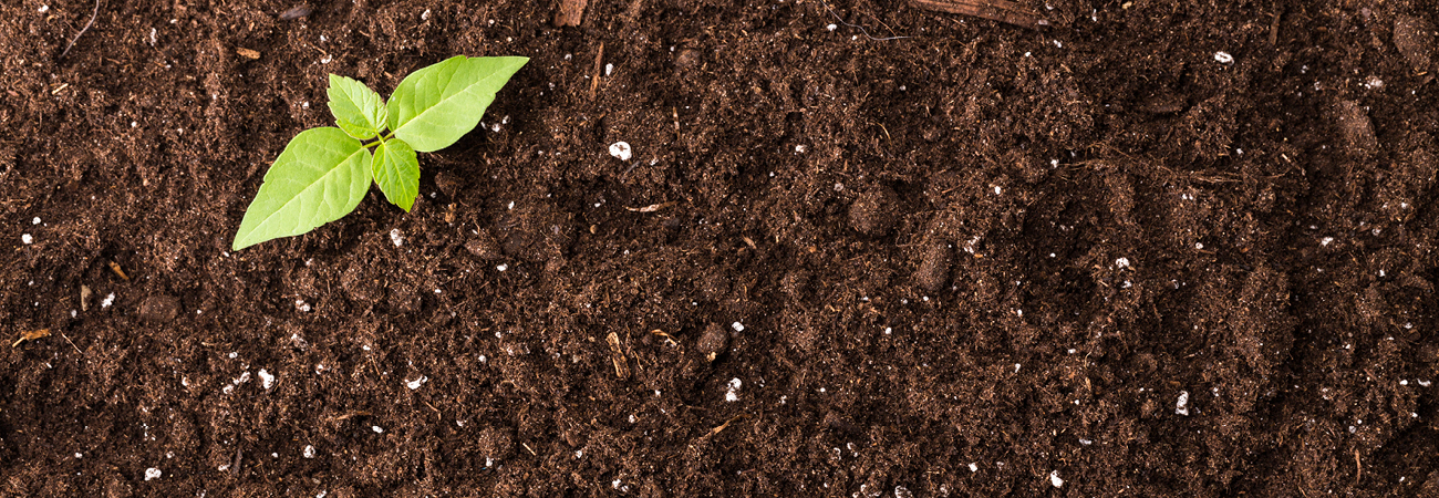 Types of Bagged Soil - Cotton's Ace Hardware Store Header